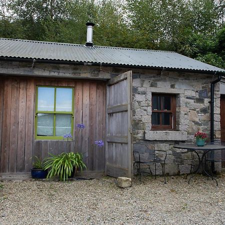 A Cosy Place In The Heart Of The Mournes Kilcoo Eksteriør bilde